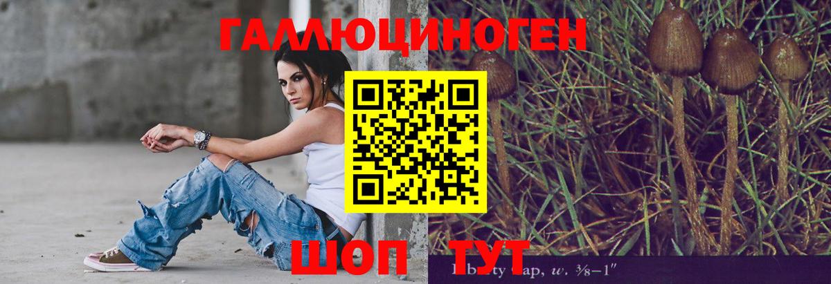 Медногорск  Галлюциногенные грибы ЛСД  Вход с VPN 